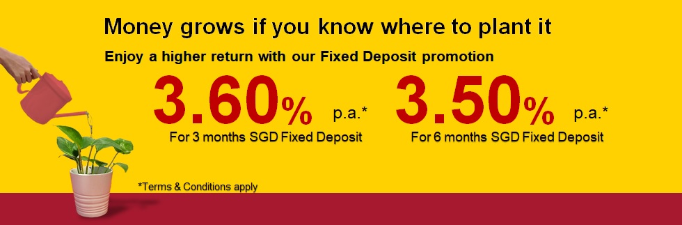 Fixed Deposit Promotion